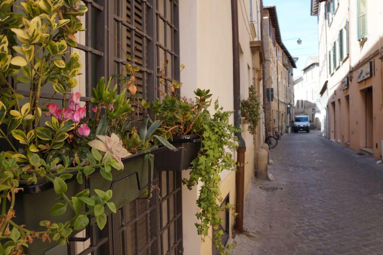 Bed and Breakfast Il Vicolo 48 à Pesaro Extérieur photo